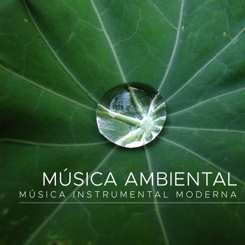 Musica Ambiental: Musica Instrumental Moderna