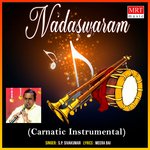 Sevikka Vendumaiya (Instrumental)