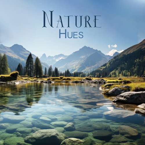 Nature Hues: Soundscapes from Zen Garden, Forest, Ocean, Rain Weather for Meditation_poster_image