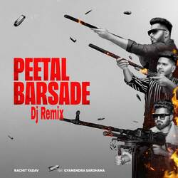 Peetal Barsade (Dj Remix)-ITIHWT9db1c