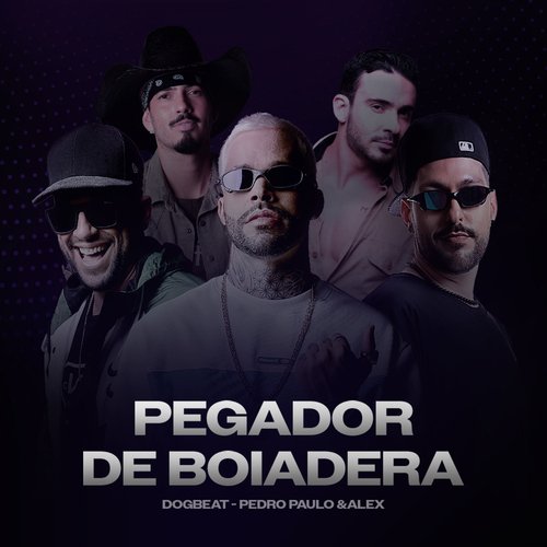 Pegador de Boiadeira_poster_image