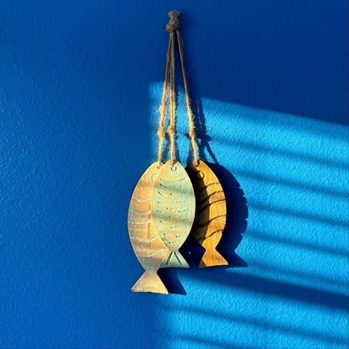 Mychorrhiza cover art