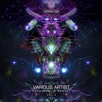 Psyentific Equation (Original Mix)