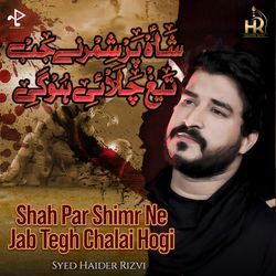 Shah Par Shimr Ne Jab Tegh Chalai Hogi