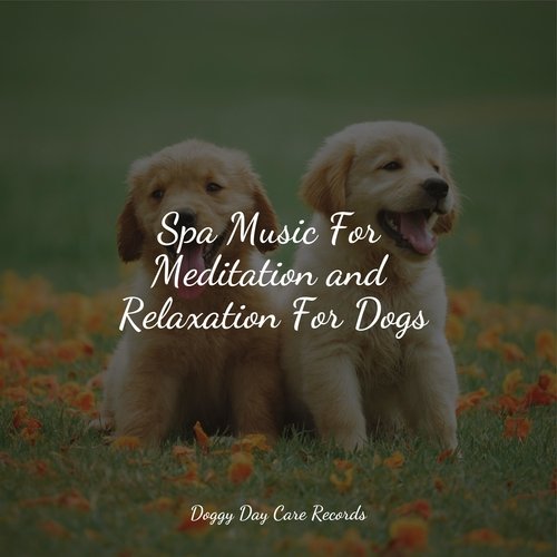 Spa Music For Meditation and Relaxation For Dogs