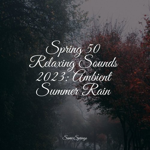 Spring 50 Relaxing Sounds 2023: Ambient Summer Rain