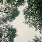 Summer Solstice