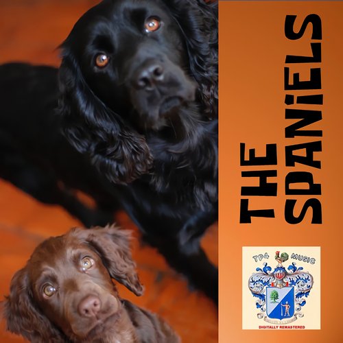 The Posse cover art