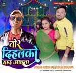 Tor Dihalko Yad Aawata