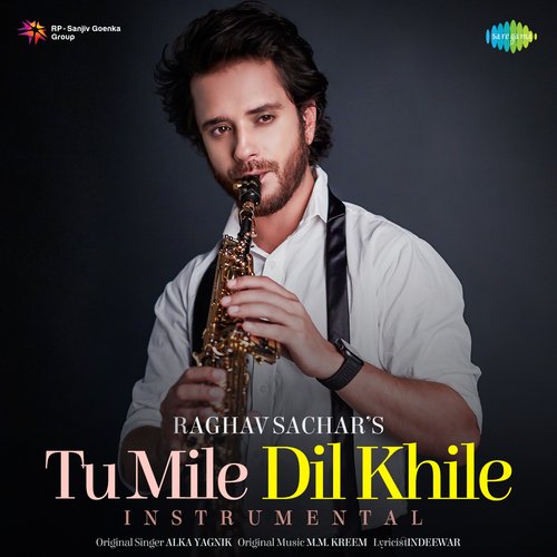 Tu Mile Dil Khile - Instrumental