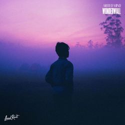 Wonderwall-EywkZh1YfHk