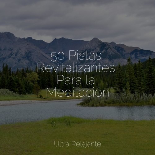 50 Pistas Revitalizantes Para la Meditación_poster_image