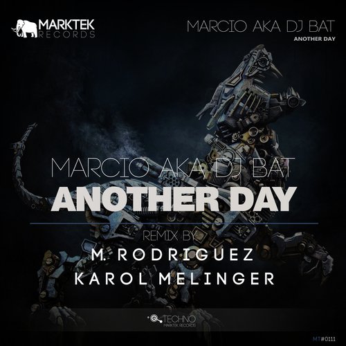 Another Day (Karol Melinger Remix) cover art