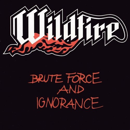 Brute Force and Ignorance