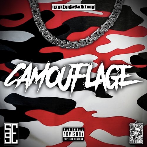 CAMOUFLAGE_poster_image