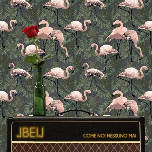 Faccio un macello cover art