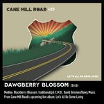 Dawgberry Blossom Medley: Blackberry Blossom / E.M.D. (Live)