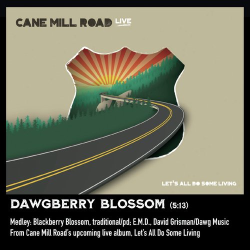 Dawgberry Blossom Medley: Blackberry Blossom / E.M.D. (Live)_poster_image