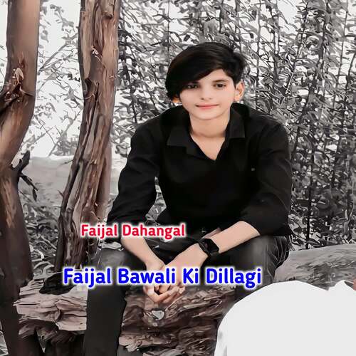 Faijal Bawali Ki Dillagi