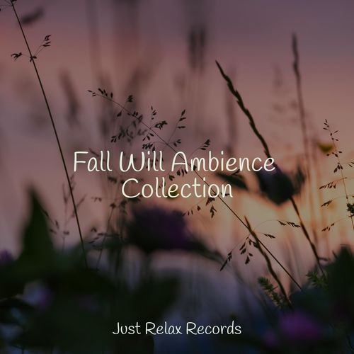 Fall Will Ambience Collection