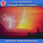 Jindagiko Bhara Hudaina
