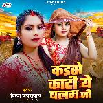 Kaise Kati YeBalam Ji (Bhojpuri Song)