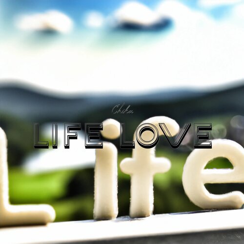 Life Love_poster_image