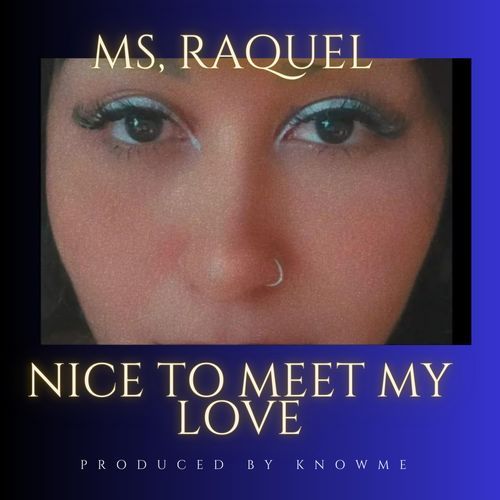 NICE TO MEET YOU MY LOVE cover art