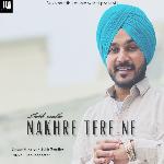 Nakhre Tere Ne