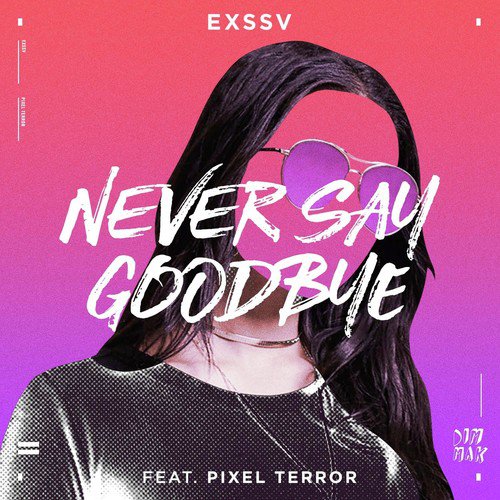 Never Say Goodbye (feat. Pixel Terror)_poster_image