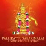 Pallikattu Sabarimalaikku