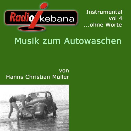 Radio Ikebana (o.W.) Instrumental, Vol.4 (Musik zum Autowaschen)
