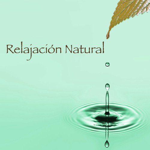 Relajación Natural cover art