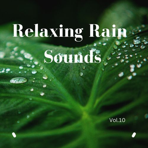 Relaxing Rain Sounds (Vol.10)_poster_image