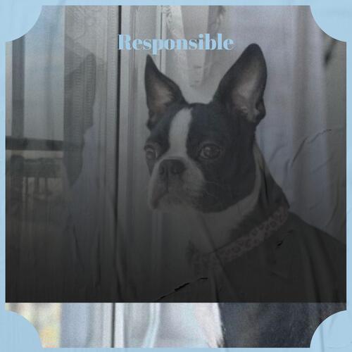 Palacios cover art