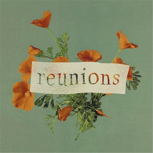 Goldfish cover art