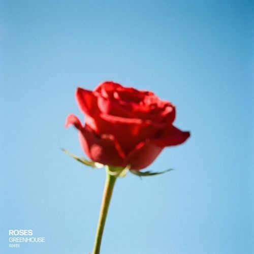 Roses (Chill House Version - sped up)
