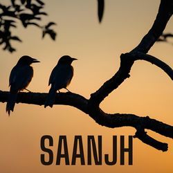 Saanjh-HS4RckF7U0o