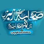 Sahaba Mere Rehbar Hain Mein Nokar Sahaba Ka