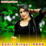 Sahil Singer 4646 artwork