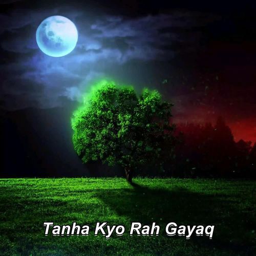 Tanha Kyo Rah Gayaq