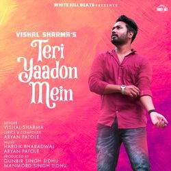 Teri Yaadon Mein-HAYNeDNmTX8