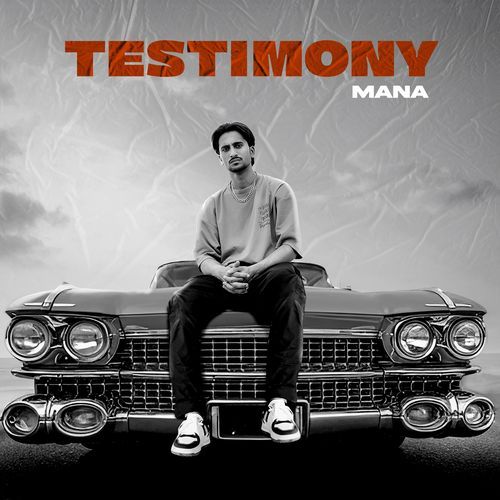Testimony