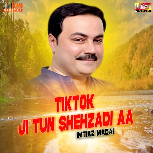 Tiktok Ji Tun Shehzadi Aa