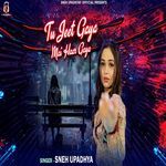 Tu Jeet Gaya Mai Haar Gaya