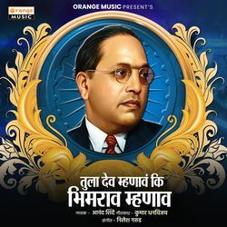 Tula Dev Mhanav Ki Bhimrao Mhanav