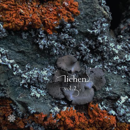 V.A - Lichen, Vol. 2 {Fungi}