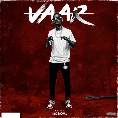 Vaar