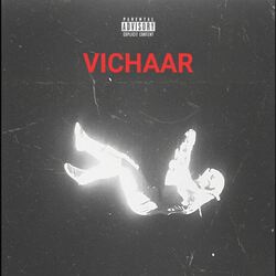 Vichaar-NwklczpzWFc