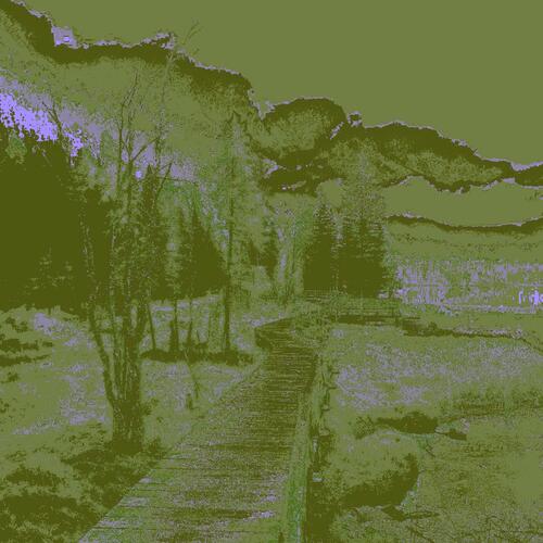 who's hunting who? cover art